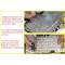 Tastatura Laptop, Acer, Aspire A515-45, A515-45G, layout US