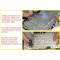 Tastatura Laptop, Acer, Aspire A515-45, A515-45G, iluminata, layout US
