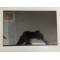 Display Laptop, Dell, 0P0K2G, P0K2G, MNE007QS2-3, 14.0 inch, FHD+, 1920x1200, IPS, non touch, 16:10, 30 pini