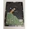 Hard Disk Western Digital WD 4TB 5400rpm 256MB SATA3, WD40EMAZ, IU HA500, 3.5 inch, HDD pentru Desktop/PC/NAS, bulk